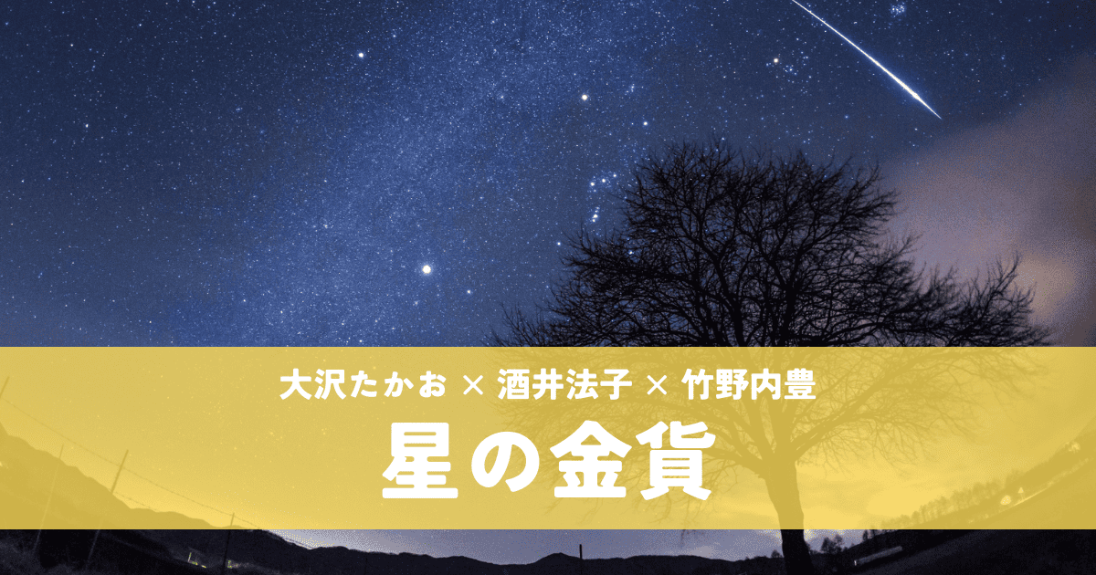『星の金貨』大沢たかお×酒井法子｜運命に翻弄される切ない純愛ドラマ